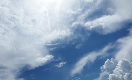 무엇이 보이니?