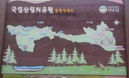 외부 캠프에서 돌아왔을 때