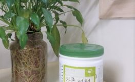 가족여행 결정